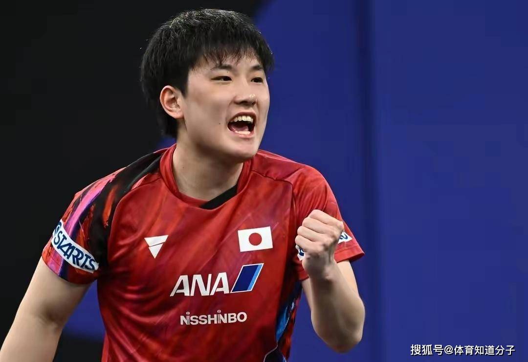 瑞典队完胜奥地利队，张本智和刷新纪录的简单介绍