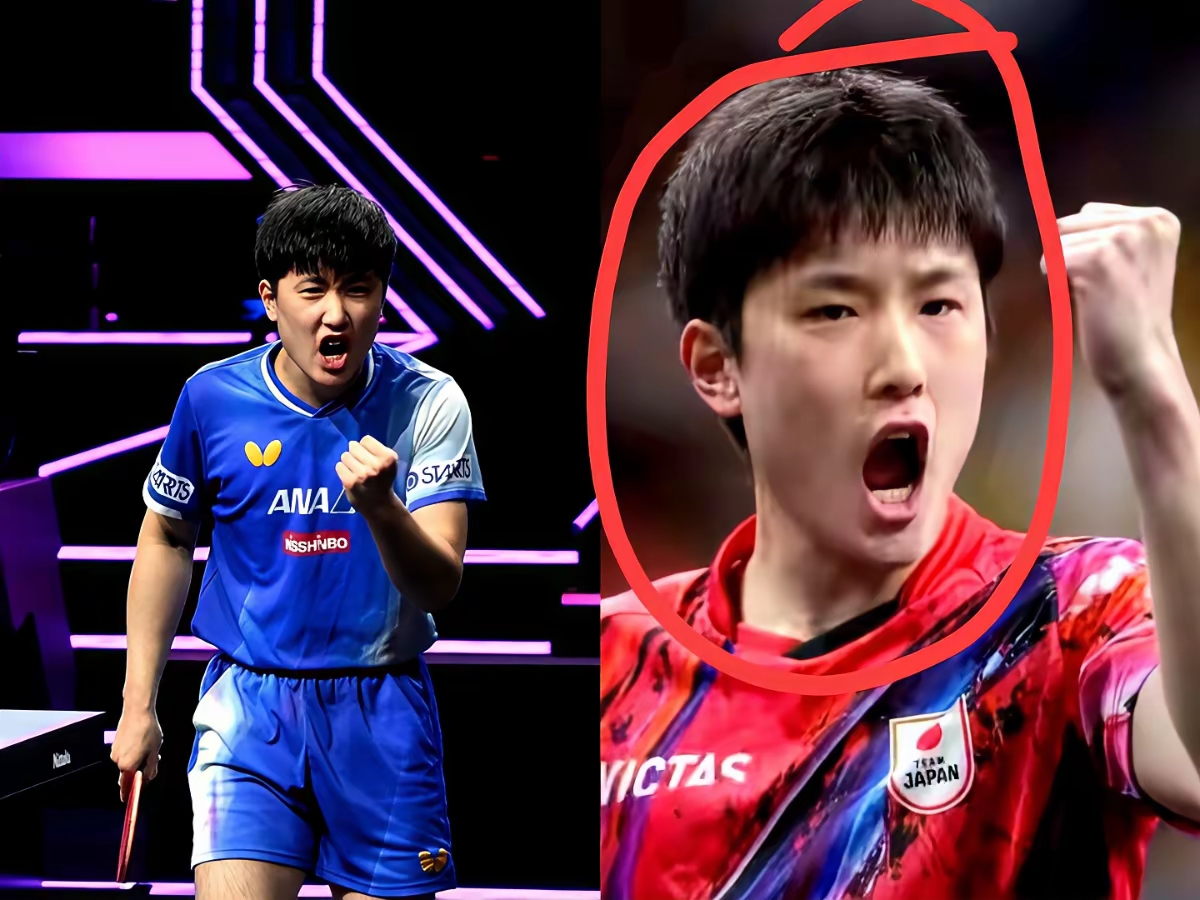 包含中国队翻盘韩国队,张本智和状态火热的词条 包含中国队翻盘韩国队,张本智和状态火热的词条